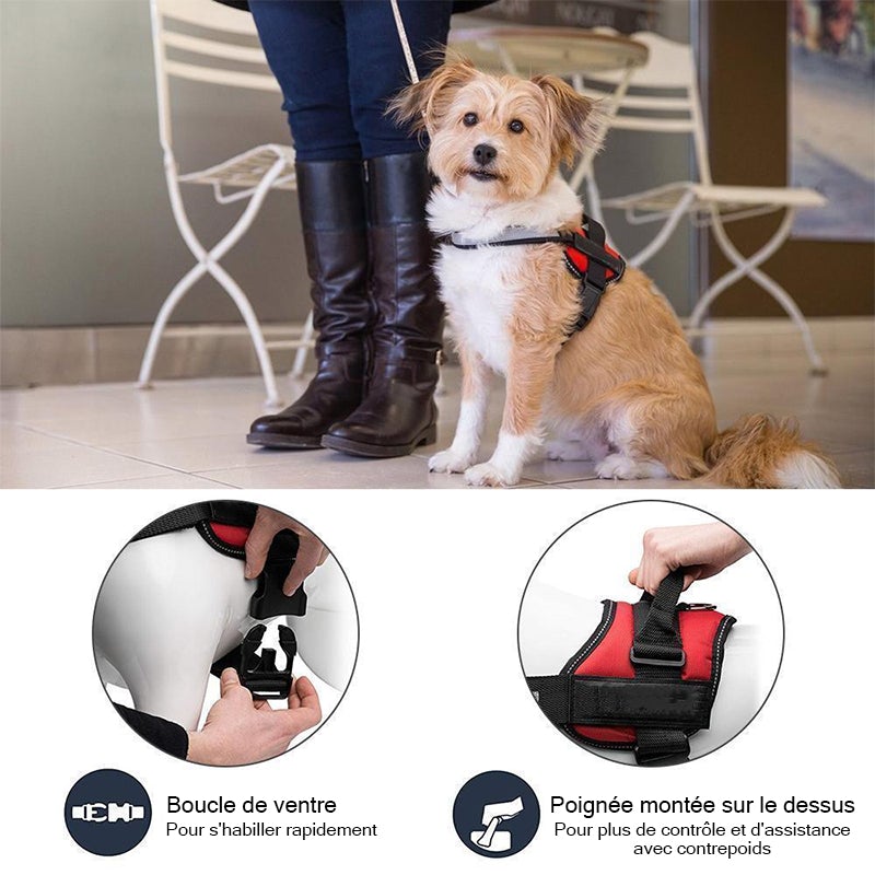 Reflektierendes, nicht ziehendes Hundegeschirr