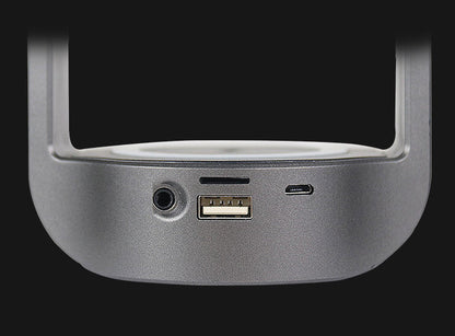 Sandsberg | Tragbarer LED-Flamme Bluetooth-Lautsprecher, mit HD-Lautsprechern, 10W kabellosem Telefonladegerät, Mikrofon, Hi-Fi-Soundeffekten und langer Standby-Zeit, unterstützt TWS, für drinnen und draußen