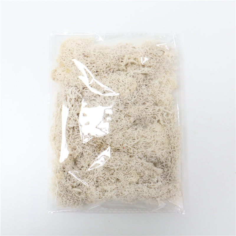 Sandsberg | Künstliches Moos für Landschaftsgestaltung – Moos und Blumen für Dekoration und Floristik