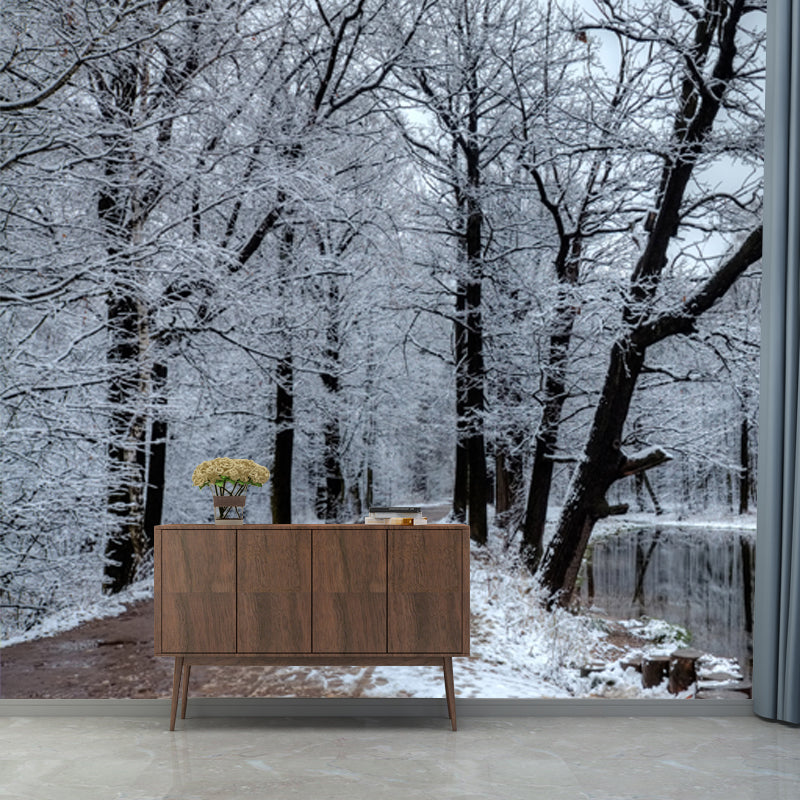 Sandsberg | Meer Reflectie Sneeuwachtige Boom Muurpapier Grijs Moderne Wandbekleding voor Slaapkamer