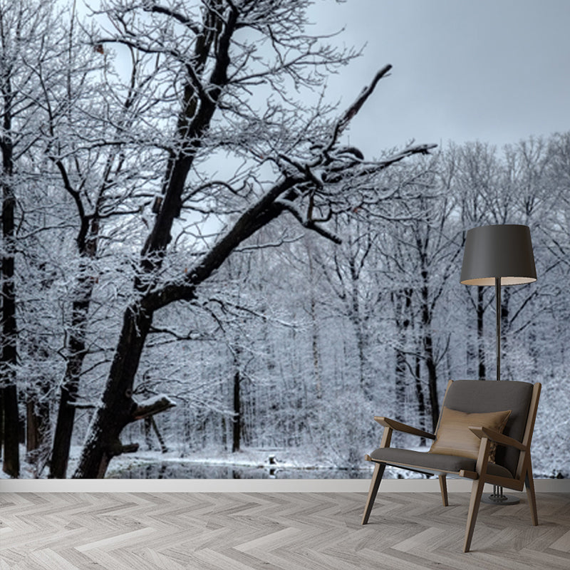 Sandsberg | Meer Reflectie Sneeuwachtige Boom Muurpapier Grijs Moderne Wandbekleding voor Slaapkamer