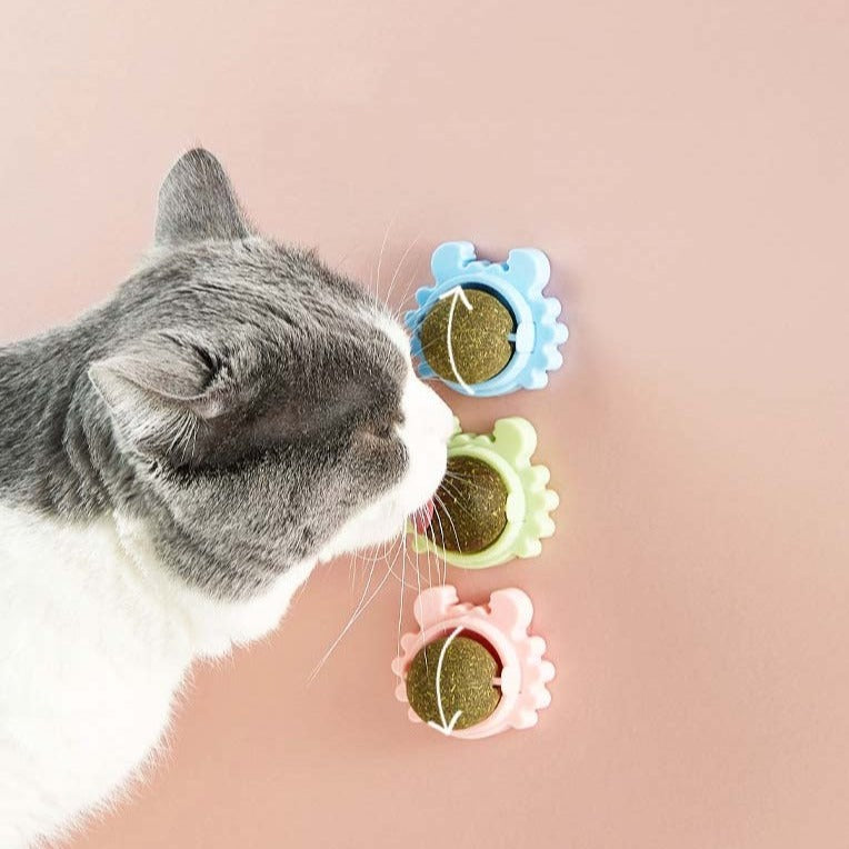 Katzenminze Molar Zähne Reinigungsball
