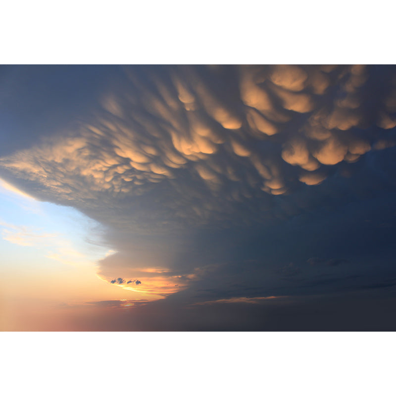 Sonnenuntergang Wolken Szene Tapete Mural Dunkel Farbe Zeitgenössische Wandverkleidung für Flur