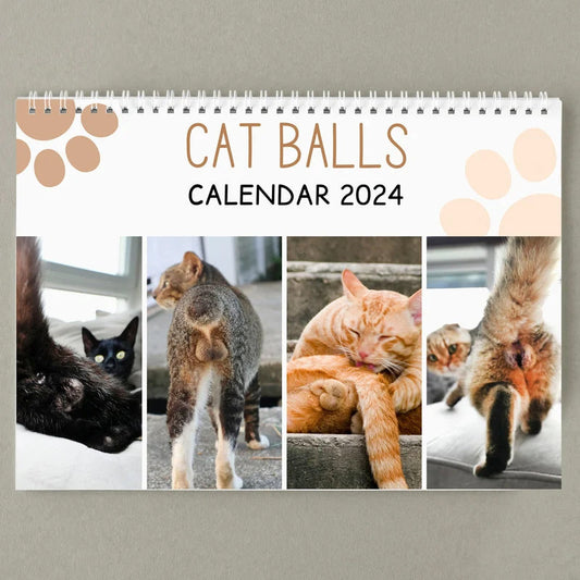 Lustiger Katzenballkalender 2024