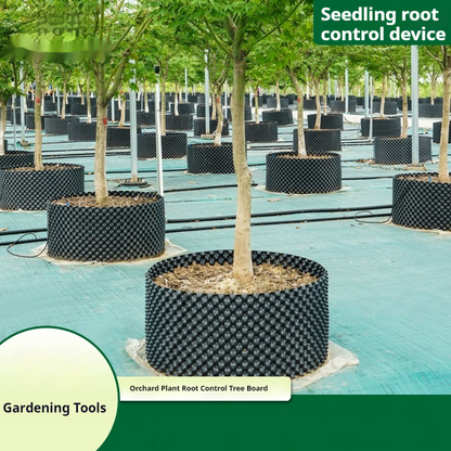 Sandsberg | Wurzelkontrollgerät für Pflanzen und Landschaftsgestaltung zur Förderung des gesunden Wachstums