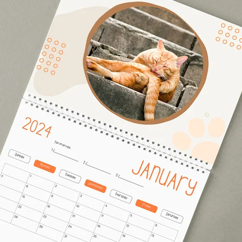 Lustiger Katzenballkalender 2024