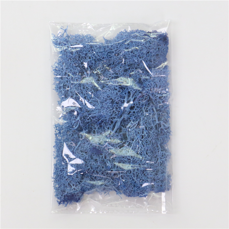 Sandsberg | Künstliches Moos für Landschaftsgestaltung – Moos und Blumen für Dekoration und Floristik