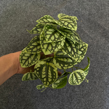 Sandsberg | Künstliche Hängepflanze für natürliche Dekoration im Innen- und Außenbereich