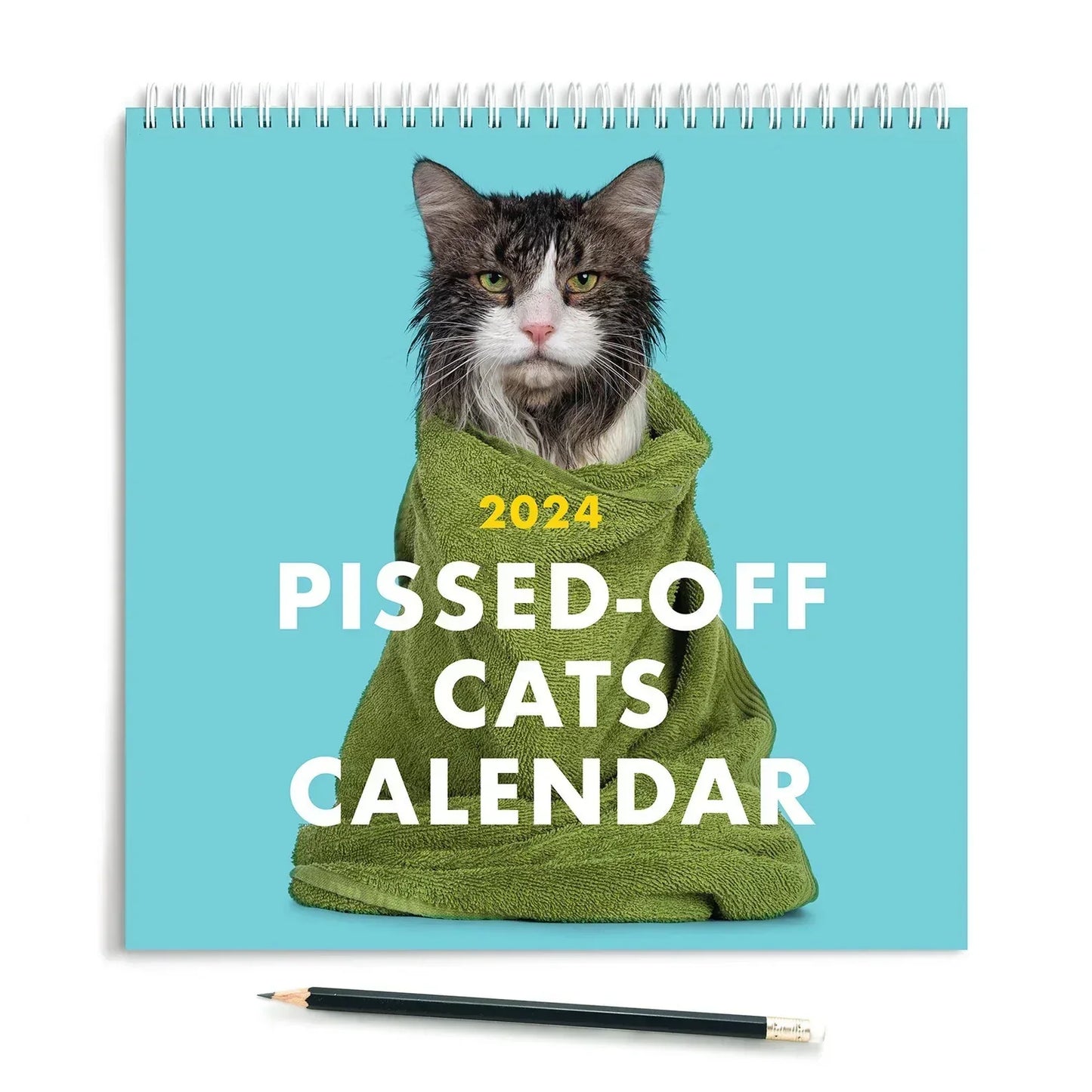 2025 Verärgerte Katzen Kalender