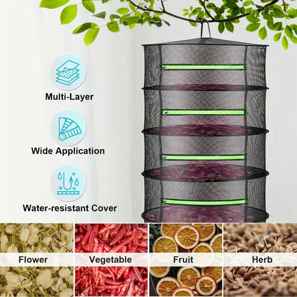 Sandsberg | Faltbarer Trocknungskorb für Obst, Gemüse und Kräuter – Mehrstufige Netzablage für schnellen Trocknungsprozess