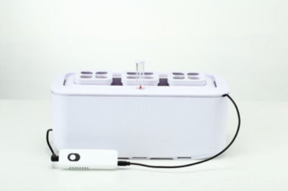 Sandsberg | Intelligenter hydroponischer erdloser Anbau-Topf mit automatischer Bewässerung, Wasserstandsanzeige und elektronischer Steuerung, für Zuhause und Büro (mit US-Standardstecker, 110v~220v)