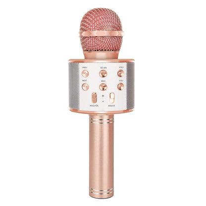 Sandsberg | Wiederaufladbares kabelloses Bluetooth Karaoke-Mikrofon