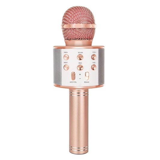 Sandsberg | Wiederaufladbares kabelloses Bluetooth Karaoke-Mikrofon