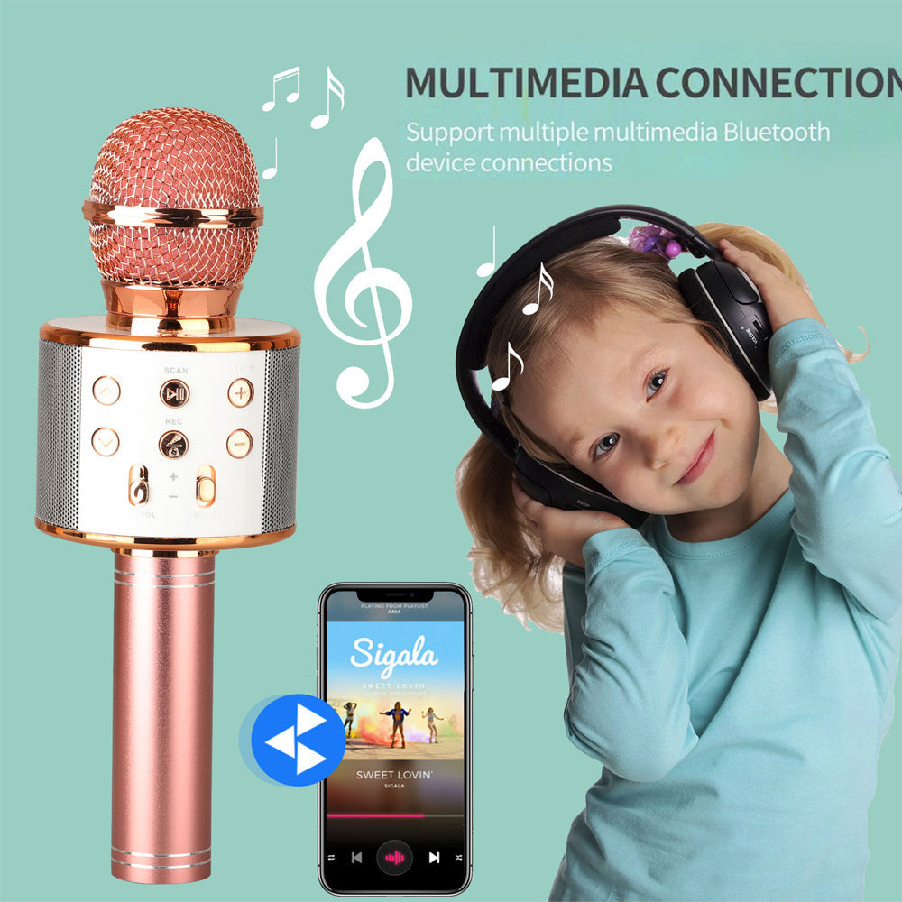 Sandsberg | Wiederaufladbares kabelloses Bluetooth Karaoke-Mikrofon