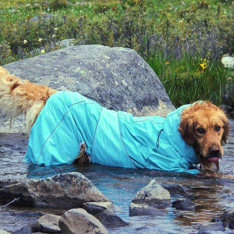 Sandsberg | Hund Outdoor Jacke Wasserdicht Verstellbarer Hunderegenmantel