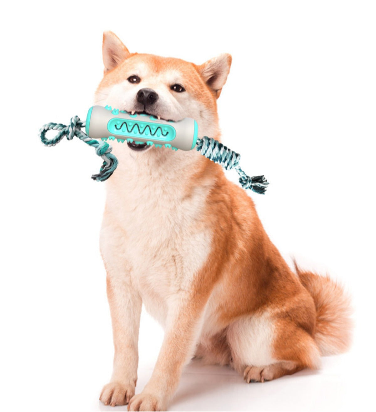 Sandsberg | Zahnschleifstab, nagesicheres Zahnreinigungsknochen-Hundespielzeug