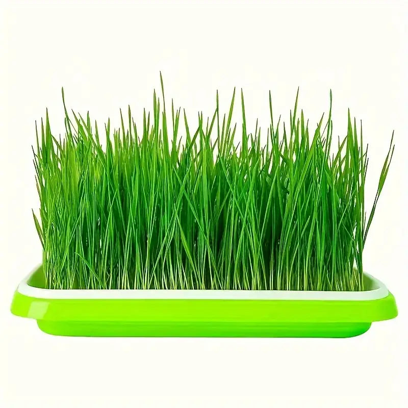 Sandsberg | Keimschalen mit Deckel – Doppelschichtiger Saatguttausbringtray für effektive Samenkeimung