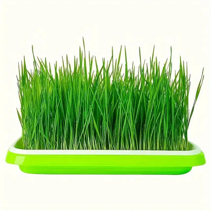 Sandsberg | Keimschalen mit Deckel – Doppelschichtiger Saatguttausbringtray für effektive Samenkeimung