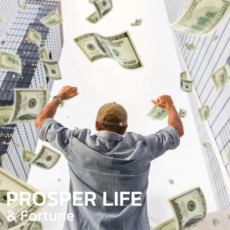 Sandsberg | FengShui Pi Xiu Amethyst Armband