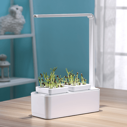 Sandsberg | Hydrokultur-Systeme mit LED-Pflanzenwachslampe, intelligentem Bewässerungssystem, Wassermangel-Erinnerung und Timer-Schalter (mit US-Standardstecker, 110v~220v)