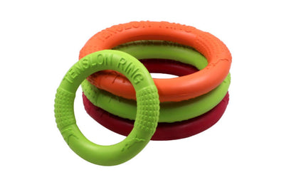 Sandsberg | EVA Pet Frisbee Bissfestes Trainingsspielzeug
