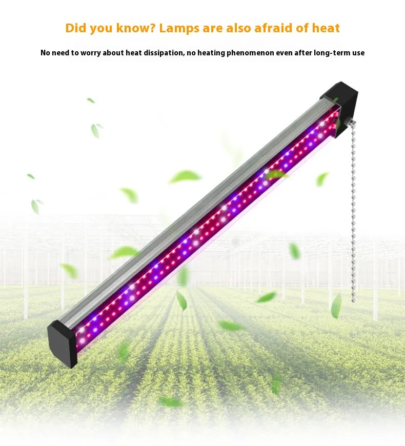 Sandsberg | LED Pflanzenlampe mit Vollspektrum-Beleuchtung und Zugschalter für optimales Pflanzenwachstum