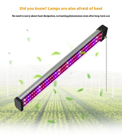 Sandsberg | LED Pflanzenlampe mit Vollspektrum-Beleuchtung und Zugschalter für optimales Pflanzenwachstum