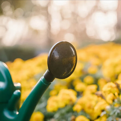 Sandsberg | Gießkanne mit großem Fassungsvermögen und langem Auslauf für präzises Gießen und Pflanzenpflege