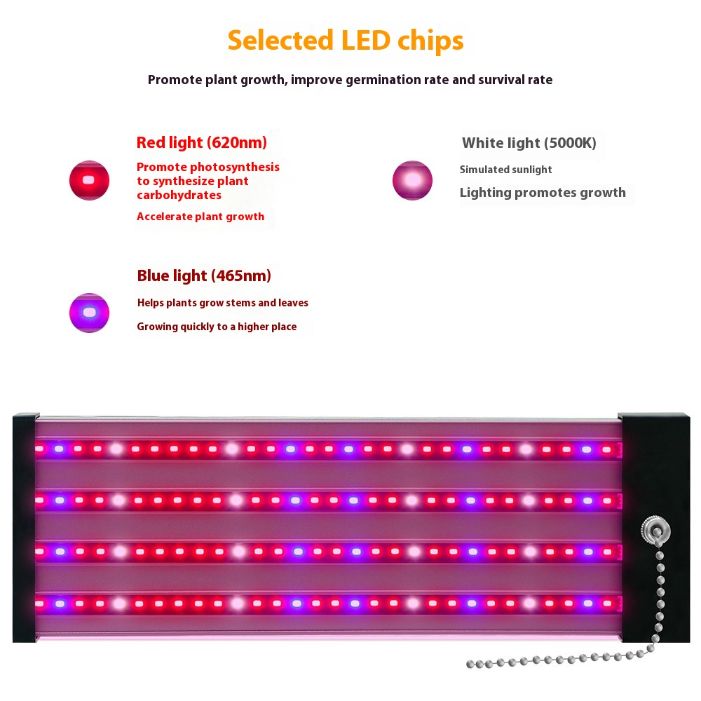 Sandsberg | LED Pflanzenlampe mit Vollspektrum-Beleuchtung und Zugschalter für optimales Pflanzenwachstum