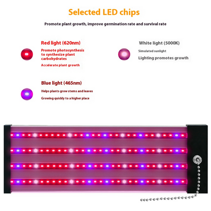 Sandsberg | LED Pflanzenlampe mit Vollspektrum-Beleuchtung und Zugschalter für optimales Pflanzenwachstum