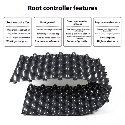 Sandsberg | Wurzelkontrollgerät für Pflanzen und Landschaftsgestaltung zur Förderung des gesunden Wachstums