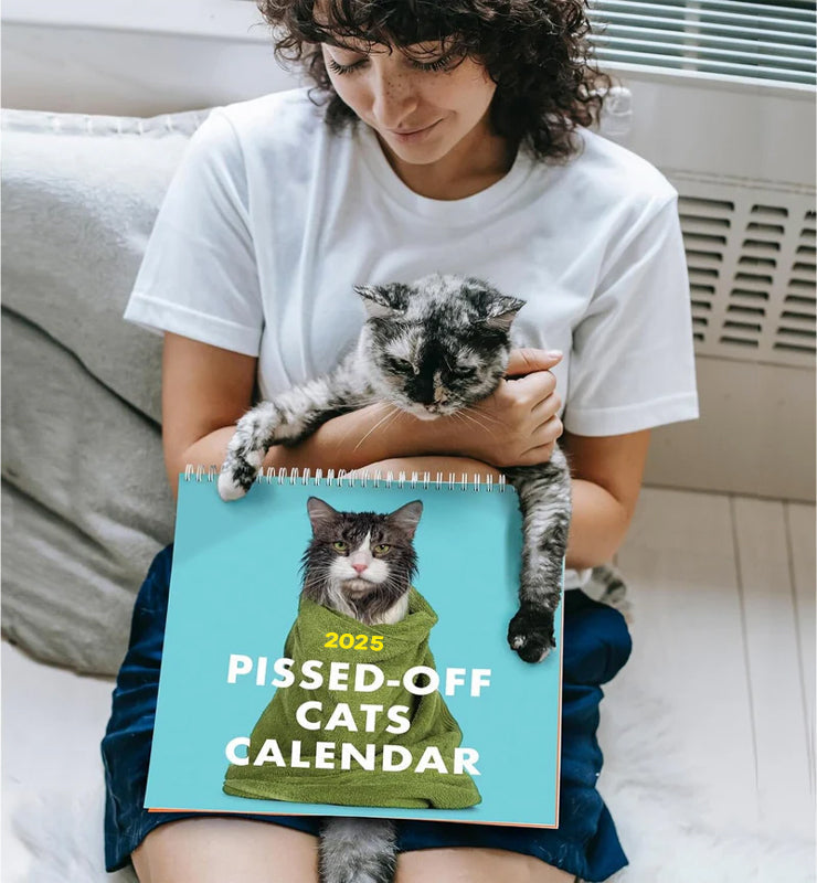 2025 Verärgerte Katzen Kalender