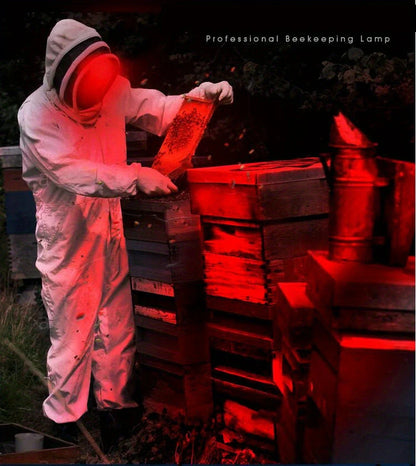 Sandsberg | Wiederaufladbare LED Stirnlampe mit Weiß-, Rot- und Grünlicht – Leistungsstarke Kopflampe mit USB und Akku