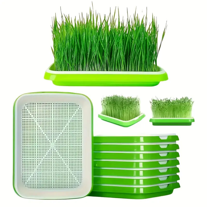 Sandsberg | Keimschalen mit Deckel – Doppelschichtiger Saatguttausbringtray für effektive Samenkeimung