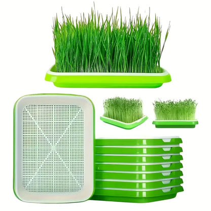 Sandsberg | Keimschalen mit Deckel – Doppelschichtiger Saatguttausbringtray für effektive Samenkeimung