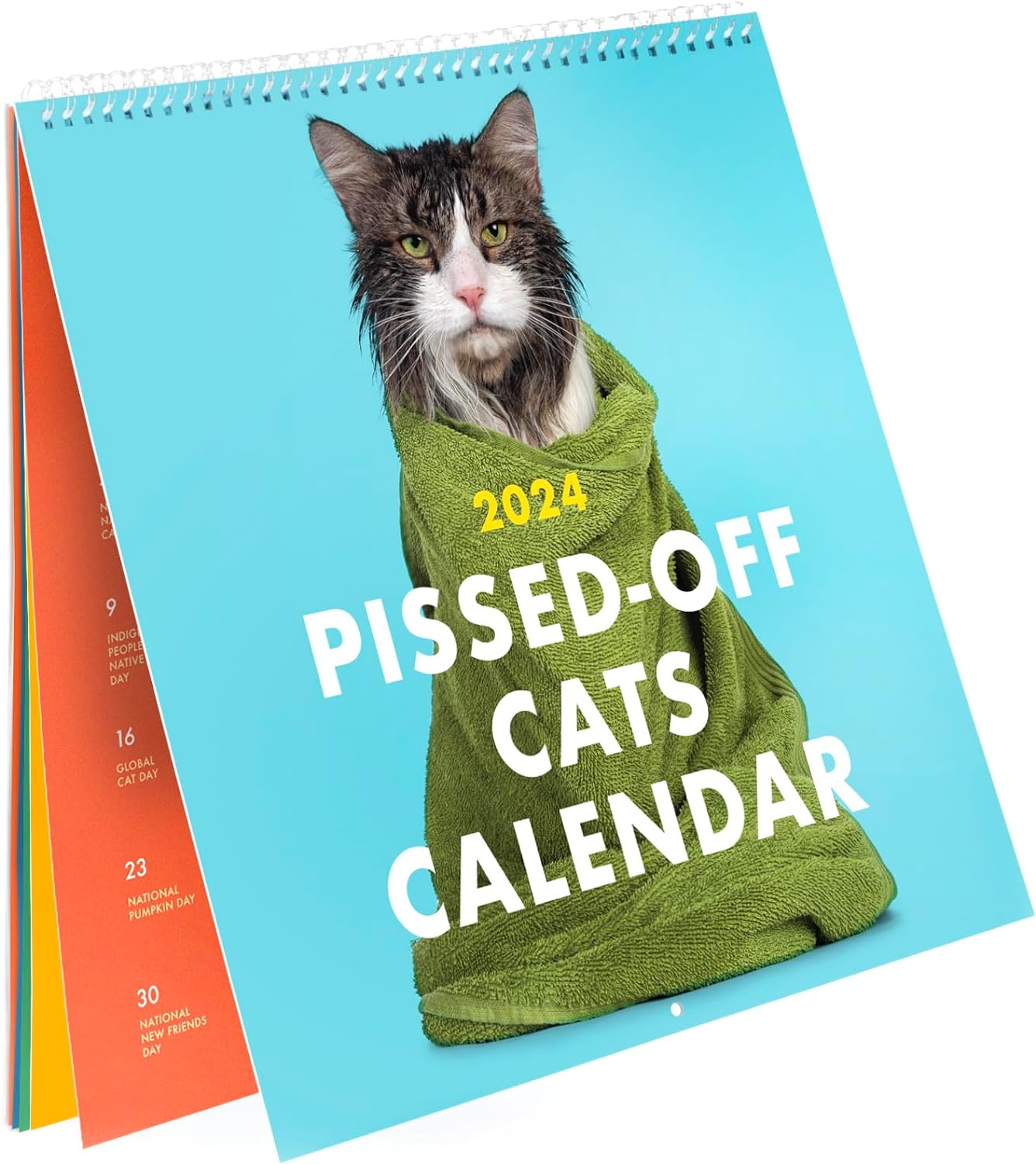 2025 Verärgerte Katzen Kalender