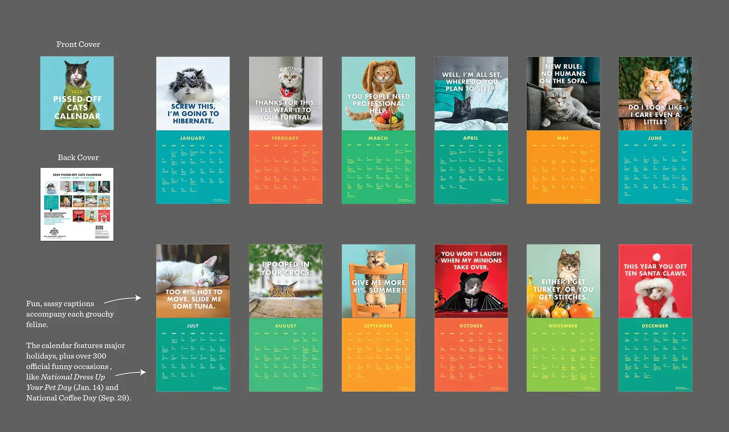 2025 Verärgerte Katzen Kalender