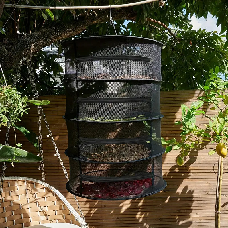 Sandsberg | Faltbarer Trocknungskorb für Obst, Gemüse und Kräuter – Mehrstufige Netzablage für schnellen Trocknungsprozess