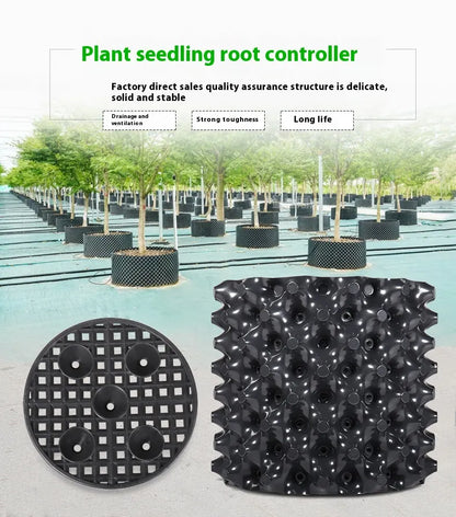 Sandsberg | Wurzelkontrollgerät für Pflanzen und Landschaftsgestaltung zur Förderung des gesunden Wachstums