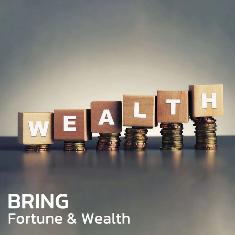 Sandsberg | FengShui Pi Xiu Amethyst Armband