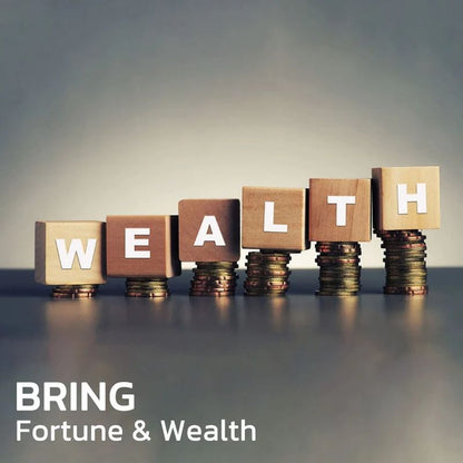 Sandsberg | FengShui Pi Xiu Amethyst Armband