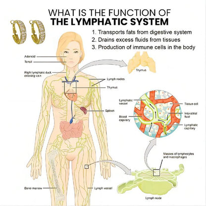 Sandsberg | Lymphatische Aktivität Creolen