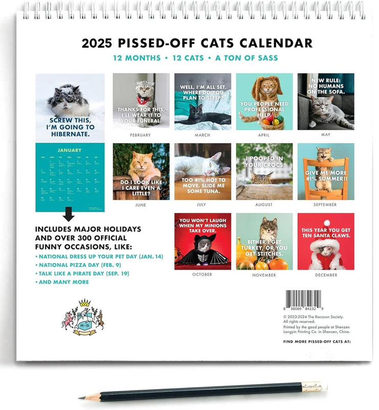 2025 Verärgerte Katzen Kalender