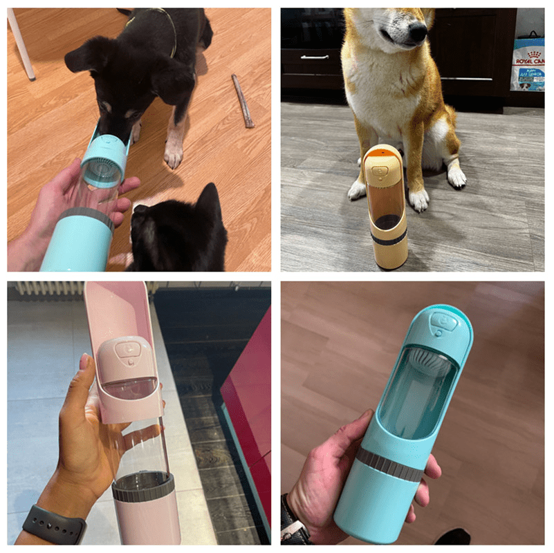 Sandsberg | 2-in-1 Hundewasserflasche mit Futter- und Wassernapf