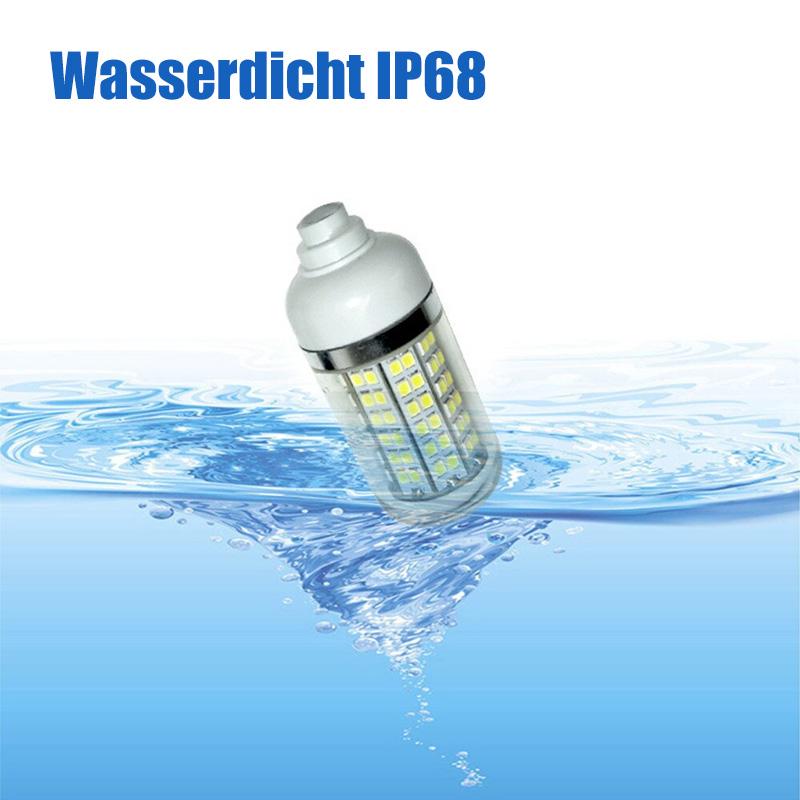 12V LED Fischen-Licht