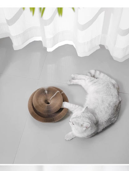 Sandsberg | Organ Katze Kratzbrett Nest ist verschleißfest und nicht fallen Chips