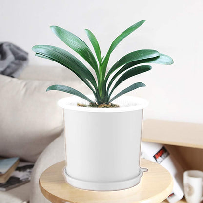 Sandsberg | Atmungsaktiver Wurzelkontroll-Topf für Pflanzen – Ideal für gesundes Wachstum und optimale Belüftung