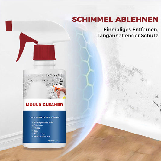 Foam | Effektiver Anti-Schimmel Reinigungsschaum
