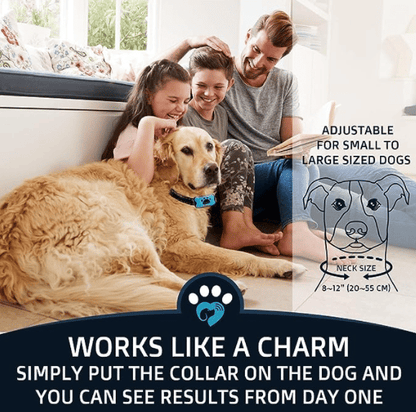 Sandsberg-Bark-Halsband (Sonderangebot, jetzt kaufen!!!)