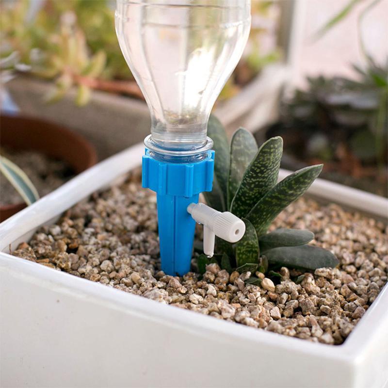 Selbstbewässerung für PET-Flasche